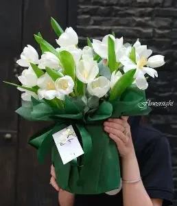Bó hoa "Tulip Tinh Khôi"